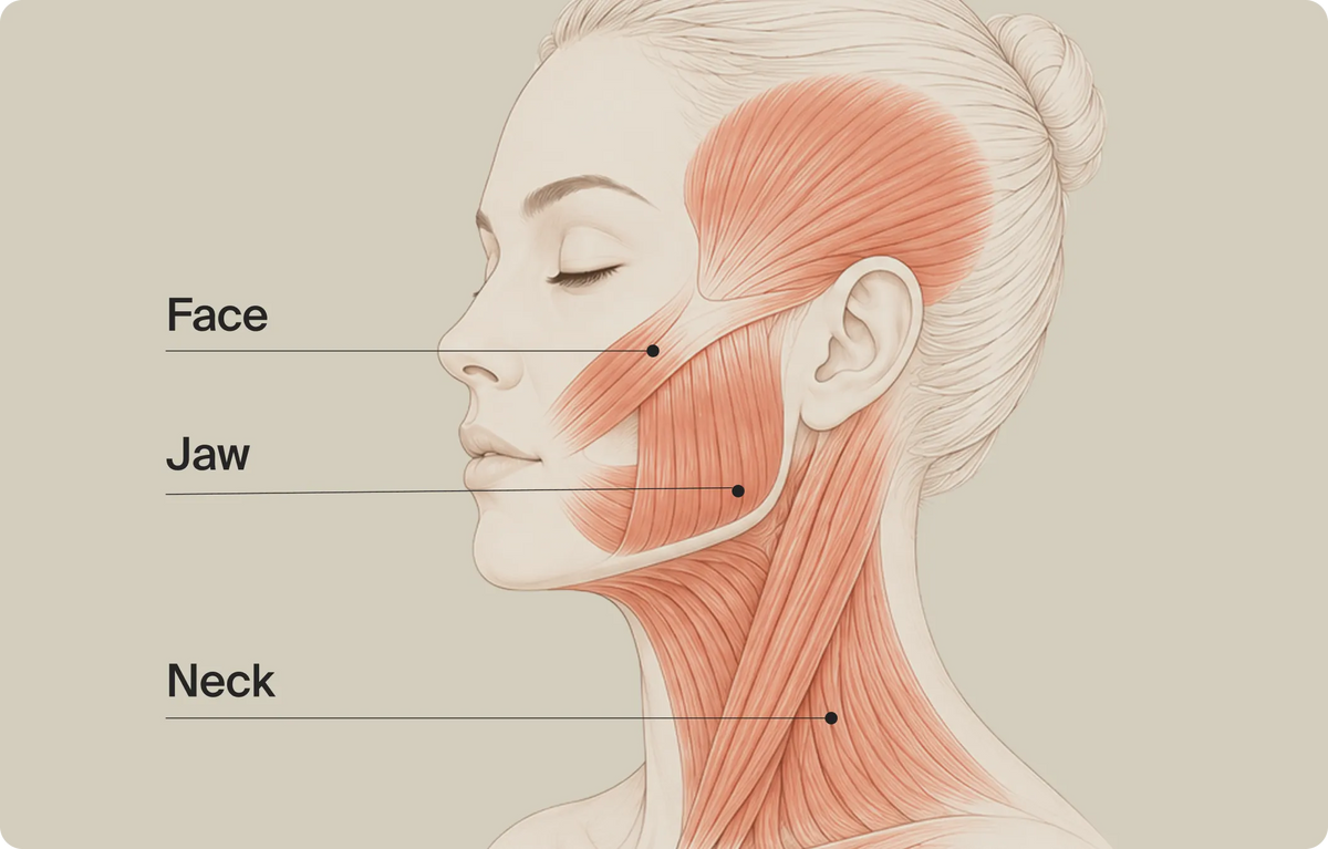 Uvoľnite svaly, v ktorých sa drží napätie